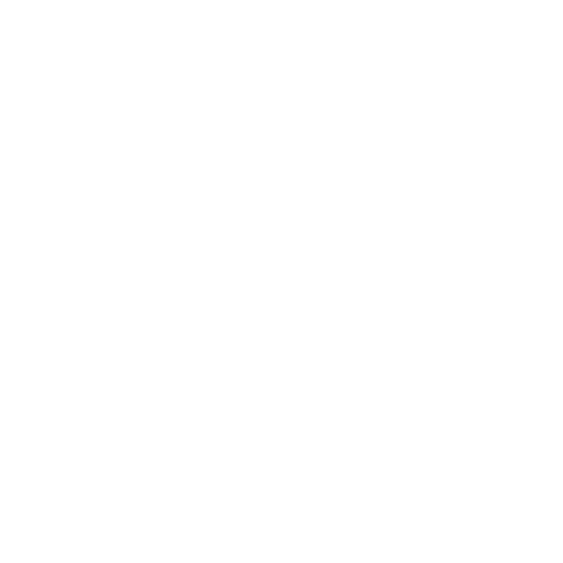 faema logo